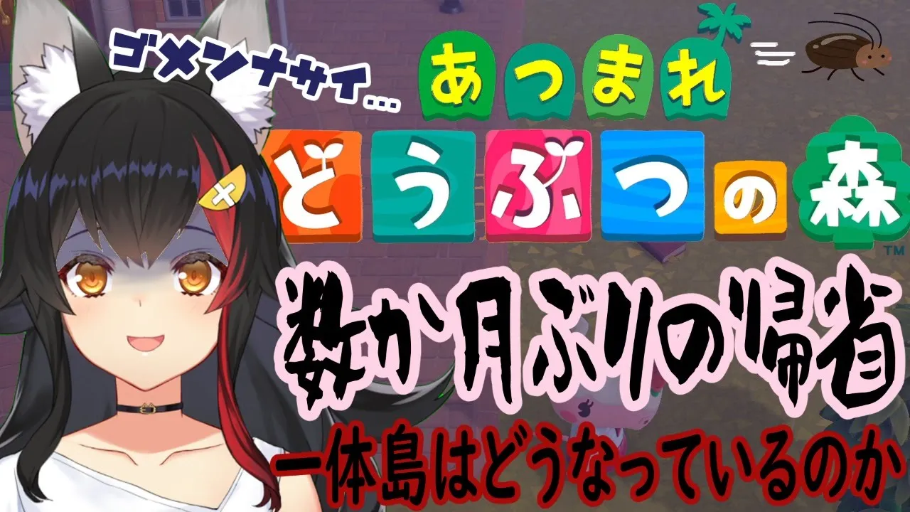 数か月ぶりに帰る島・・あいつはいるのか・・【あつまれどうぶつの森】