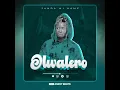 Download Lagu Janda - Olwalero (official audio)