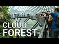 Cloud Forest and Flower Dome What to do in Singapore