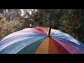 Porter - Daphne // slowed + reverb