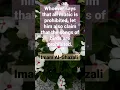 Imam Al-Ghazali quotes English quotes #wisdom #islamic #sufi #bird #song  #claim #shorts