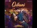 Odhani (From "Made in China") - Sachin-Jigar, Darshan Raval & Neha Kakkar