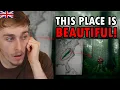 Brit Reacts to Inside The Appalachian Rainforest