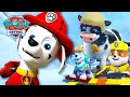 Darurat di Gunung Bersalju! Everest Menyelamatkan Sapi yang Terjebak! | PAW Patrol Indonesia