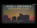 Download Lagu Wake Me When Its Quiet - Don Diablo Ft Hilda
