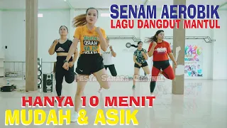 Download SENAM PEMULA MUDAH DIHAFAL | AEROBIK ASIK FESYA SAHARA MP3