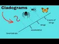 Cladograms - Introduction