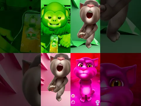 New talking tom cat shorts video @tomcatfun