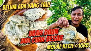 HAMPIR NGGAK ADA YANG TAU! Cara Ubah Daun Sekitar Rumah Jadi Cuan Besar