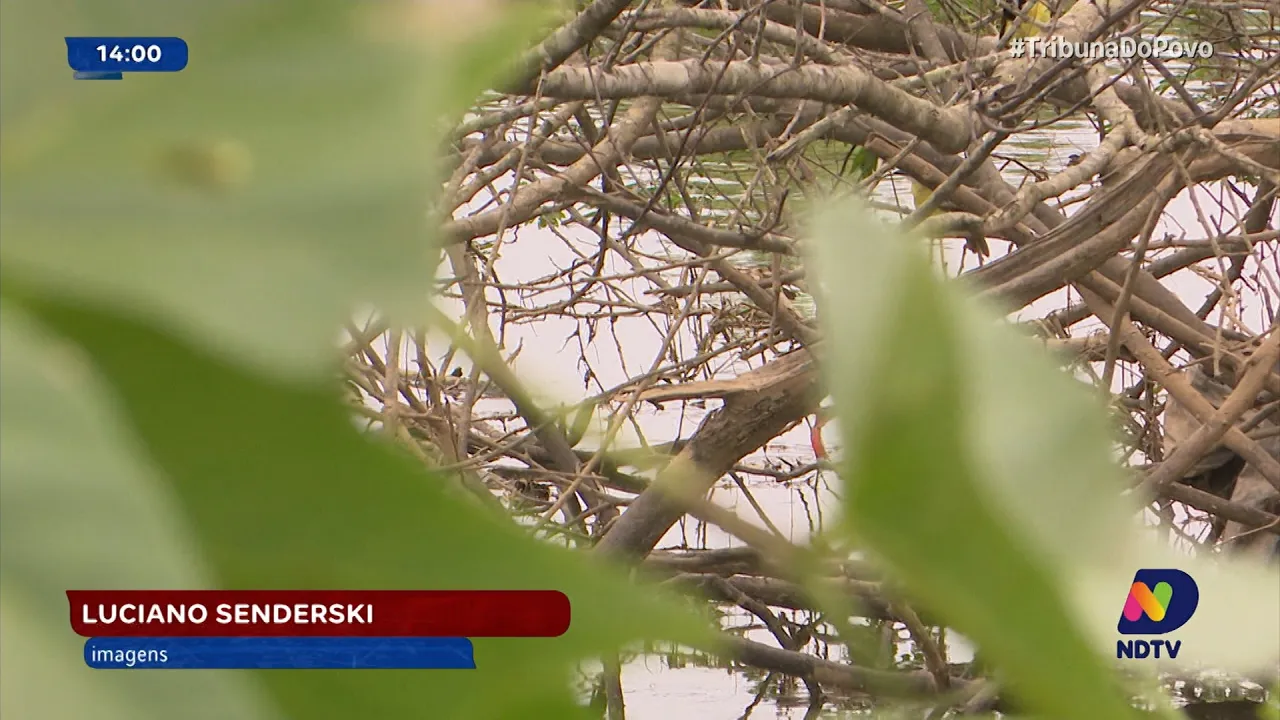 Polícia Civil de Joinville busca identificar corpo encontrado em condições suspeitas