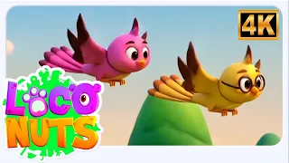 चिड़िया रानी, Chidiya Rani, Popular Nursery Rhymes and Poem in Hindi