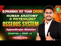 D Pharma 1st Year Human Anatomy Physiology Osseous System Ch-4 Part-4 Appendicular Skeleton