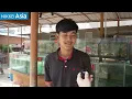 Chinese exodus leaves Cambodia boomtown with 500 ghost buildings