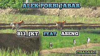 Download AKSI 2 TEAM YANG SALING MENUJUKKAN SKILL YANG BERBEDA DI BURU ALEK PORBI JABAR CIBADAK 1 MP3