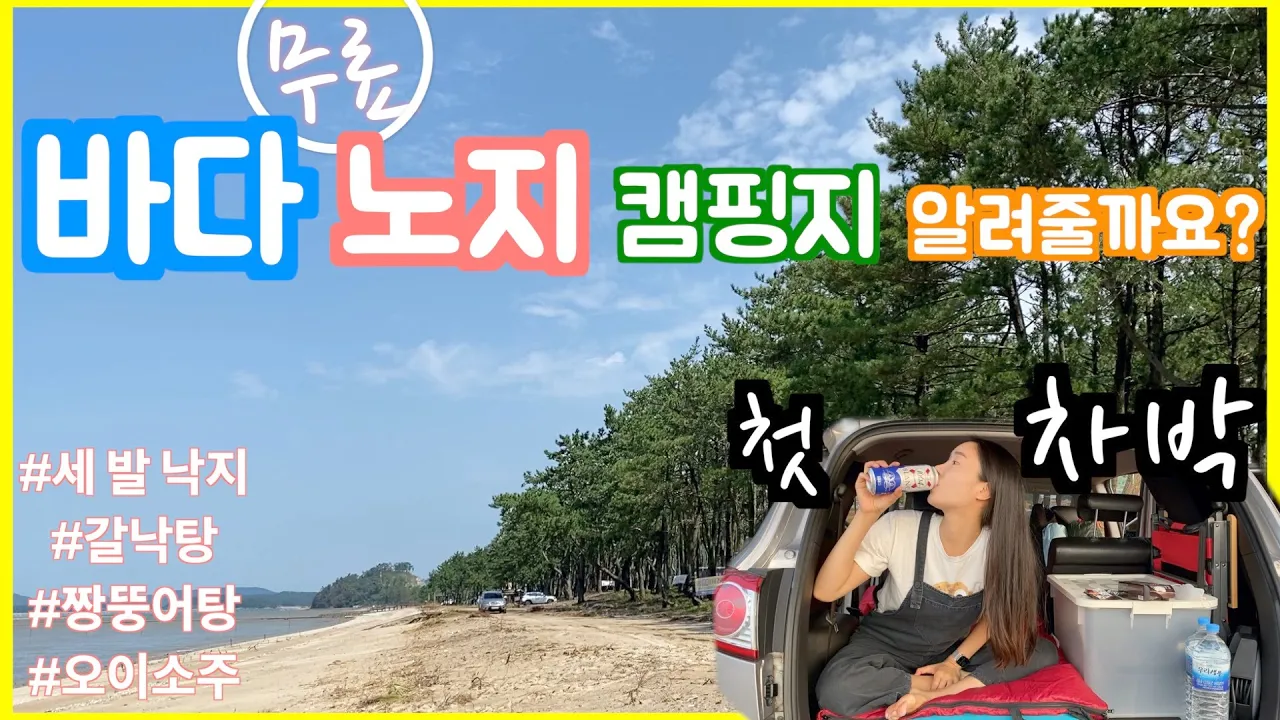 [무료]취사가능 바다 노지 캠핑지 알려줄까요? [솔캠]의도하지 않은 나의 첫 차박은? 세발낙지 갈낙탕 짱뚱어탕 먹방 아, 오이소주도😏 썸네일