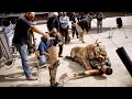 Gladiator (2000) - Behind the Scenes | The Making of the Film