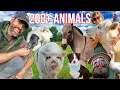 Raising Over 200 Different Animals Meet Them All As We Feed This Morning