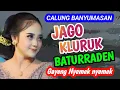 Lagu JAGO KLURUK BATURRADEN CALUNG BANYUMASAN GAYENG NYEMEK NYEMEK KAGEM JAMPI SAYAH.