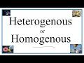 Heterogenous vs Homogenous Definitions Examples Practice