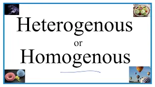 Heterogenous vs Homogenous Definitions Examples Practice