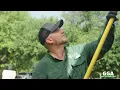 GGA Pest Management Waco Pest Control Cleburne Temple Killeen Texas