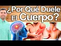 Lagu Porqué Duele El Cuerpo Y Los Músculos? - Causas Y Soluciones Para Eliminar El Dolor Muscular