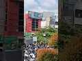 Bendera Palestina Berkibar. Warga Indonesia sudah Menganggap Palestina Saudara Sendiri?