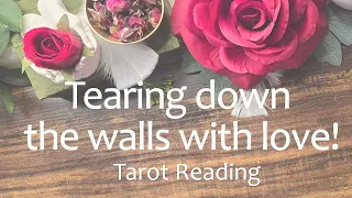They need to tear down the wall by showering you with love!💐🎁💖