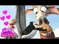 Madly Madagascar #2 ❤️Madagascar Valentines Day Special ❤️Madagascar DVD ❤️Kids Movies