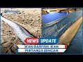 Lagu Mengenal Oarfish, Ikan Kiamat yang Kemunculannya Disebut Pertanda Bencana