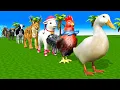 Download Lagu Long Slide Game With Cow Elephant Gorilla Hippopotamus Tiger 3d Animal Game Funny 3d Animals