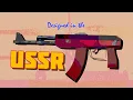 Designed in the USSR Essay