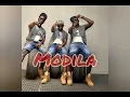 Download Lagu PDK - Modila