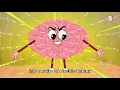 Why Do We Forget? | The Dr. Binocs Show | Best Learning Videos For Kids | Peekaboo Kidz