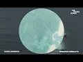 Liang Lawrence - Endless Sundays (Official Audio)