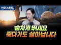 Download Lagu (1부) 숨차게 뛰세요. 죽다가도 살아납니다 (서울대 의대 재활의학교실 정세희 교수)