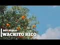 Download Lagu Boy Pablo - Wachito Rico [ LYRICS ]