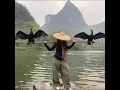 you need to aurafarm