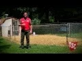 How to Prevent and Treat Coccidiosis in Chickens Chicken Care Tractor Supply Co