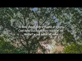 jxdn - Better Of Dead (Lyrics)
