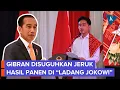 Download Lagu Saat Gibran Disuguhkan Jeruk Hasil Panen di Ladang Jokowi