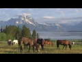 Triangle X Ranch - Jackson Hole Wyoming