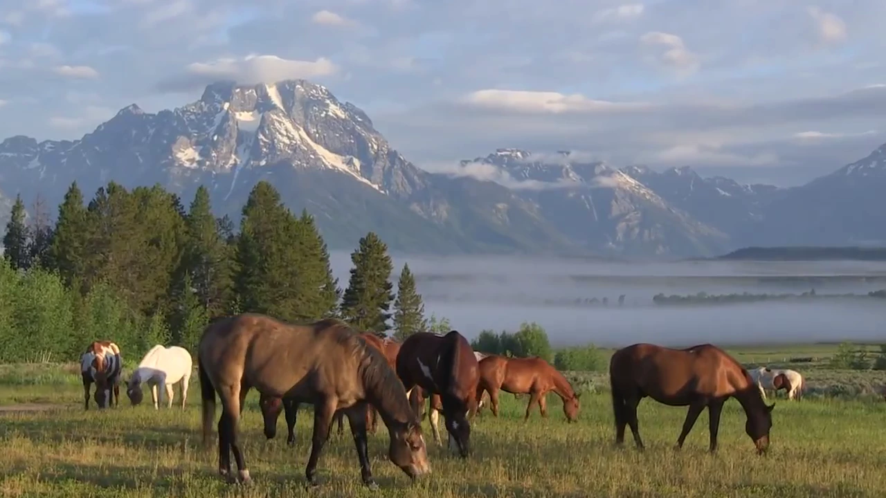 Triangle X Ranch - Jackson Hole, Wyoming