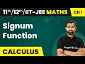 Signum Function - Relations Functions Maths Class IIT-JEE 2024-25