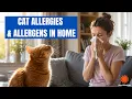Seasonal Allergy Tips from Dr Evan Zhao CEO of Pacagen AccuWeather