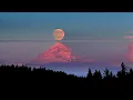 Orville Peck - Daytona Sand Lyrics