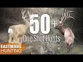 Download Lagu Best One Shot Kills | 50 Rifle and Bow Hunts with Eastmans' Hunting Journals