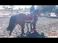 EL One Hundred CUadra 36 vs La Chiquis Cuadra El Alteño at Rancho Los Alamos in Hesperia, California
