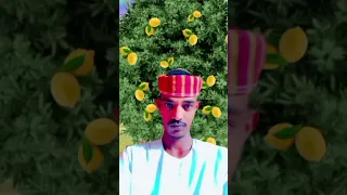 الأمين الهادي الرفاعي 