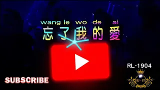 dj wang le wo de ai djst